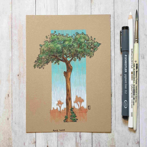 Original drawing - Brazil Nut Tree
A drawing of a tall brazil nut tree in colour with a blue background.
Materials: colour pencil, mixed media, acid free buff coloured paper
Width: 5 inches
Height: 7 inches