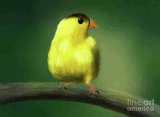Close up painting of a small mainly bright yelllow coloured bird looking to the right, sitting on a rather thick branch, to a green background. 