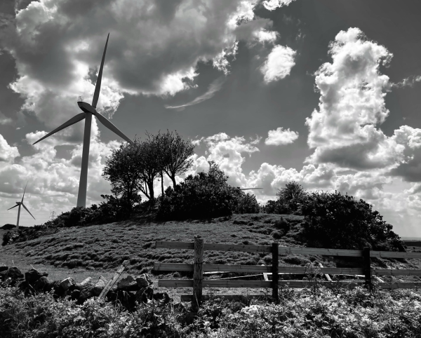 A black and white photograph mound of trees, bushes and rocks  next to a wind turbine in the left side of the image. Above the ground is a beautiful cloudscape.