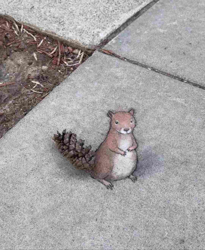 Streetart. A small squirrel was painted with chalk and 3D effect on a sidewalk made of grey stone slabs. There was a long pine cone on the sidewalk, which was immediately integrated into the picture. Now a squirrel with a pine cone for a tail is standing upright, not looking happy. Title: "Sasha is having a bad tail day."