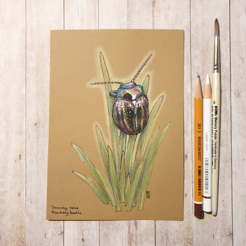Original drawing - Rosemary Beetle
A colour drawing, primarily using colour pencil and pen and ink of a rosemary beetle. The drawing is 5 x 7 inches on buff coloured acid free paper.
Materials: colour pencil, mixed media, acid free artist buff coloured paper
Width: 5 inches
Height: 7 inches