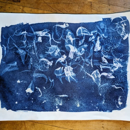 Abstract cyanotype shows ghostly white shapes of peony petals scattered randomly across the top three-quarters of the print, with some white noise/grunge also present throughout against the Prussian blue background  