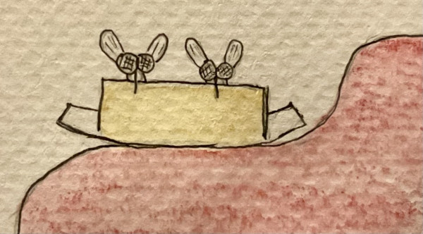 Two flies sit on/in a loaf of butter, that is put on a plate. The look at us and seem to go down some red wavy slopes (couch).