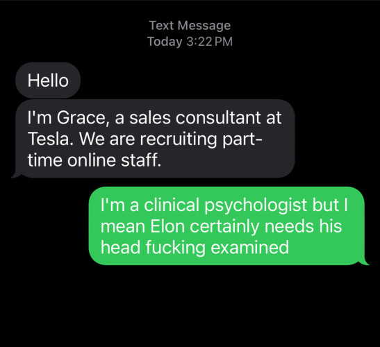 Screenshot of text spammer;

Today 3:22 PM
Spammer: Hello. I'm Grace, a sales consultant at Tesla. We are recruiting part-time online staff.

Me: I'm a clinical psychologist but I mean Elon certainly needs his head fucking examined