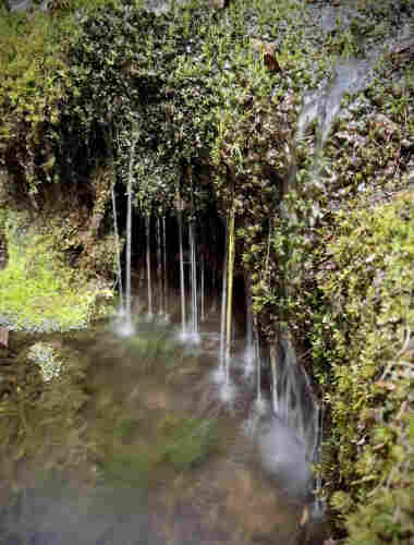 Mossy outcropping with tendrils of water flowing over it into little pool below