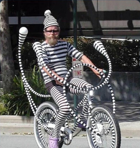 a person with a blonde beard and upturned whiskers sitting on a bicycle. they're wearing a gnome cap, a short-sleeved shirt, and thigh high socks all with vertical black and white stripes, and a pair of purple crocs. the bicycle is also striped and has various of odd, curved protrusions radiating out