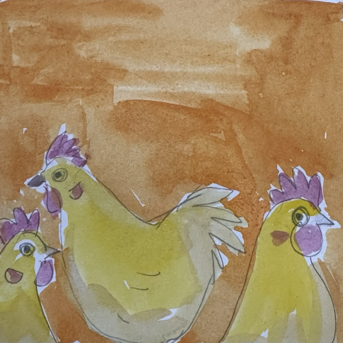 Three yellow hens with purple combs stand against an orange background 