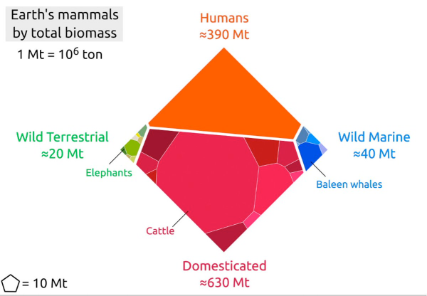 Footprint of biomasses of different  mammal species on the planet.
