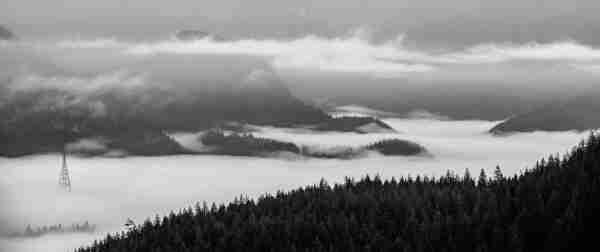 A black and white photo of a foggy Vancouver inlet. A signal tower is visible in the bottom left of the frame, with fog twisting in and out of trees and mountains.