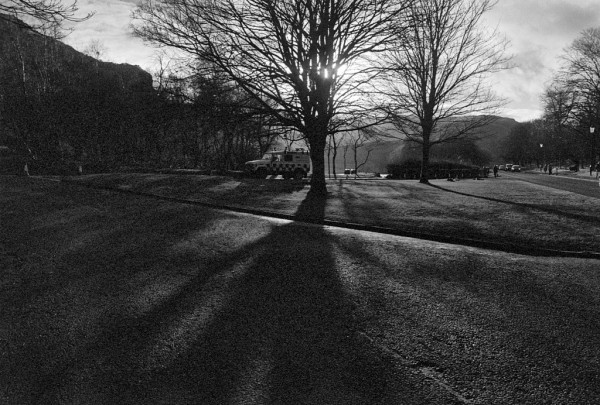 A rather dark black and white photo taken into the afternoon sun, the left hand side mainly shadow from the hill, the right hand side in sun amongst the slanting shadows of the bare trees. The sun is almost hidden in the branches of a central tree. A pathway is visible crossing from bottom right, and a park ranger's vehicle is parked under the tree.