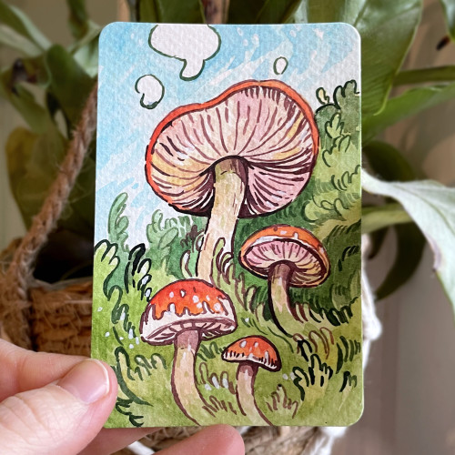 Painting of red mushrooms in watercolor