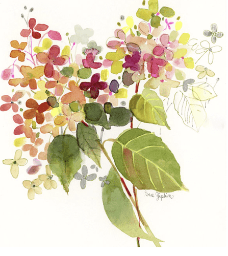 Hydrangea watercolor painting features many different petals, which change colors from red to pink, green, and subtle neutrals. There is some line work and a couple of big leaves on a white background.