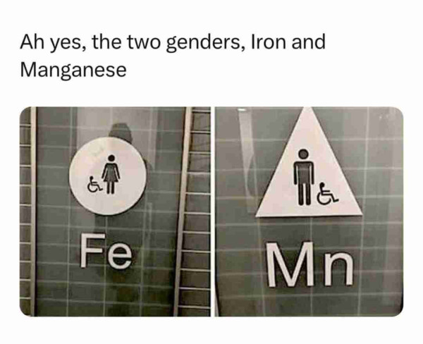 Two bathroom signs, one says "Fe" the other "Mn"

Caption says, "Ah yes, the two genders, Iron and Manganese"