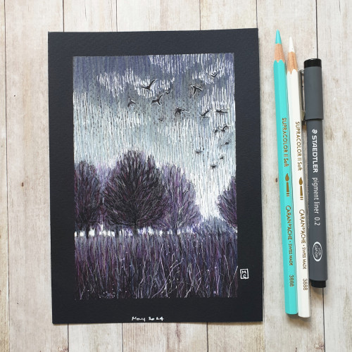 Original drawing - Early Morning
A colour drawing in mixed media of an area of parkland with grasses and trees at early morning, there is light low on the horizon, and birds flying in the cloudy sky. It is a very reduced palette of violet and grey.
Materials: colour pencil, mixed media, acid free black paper
Width: 5 inches
Height: 7 inches