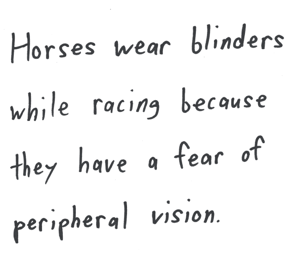 Horses wear blinders while racing because they have a fear of peripheral vision.