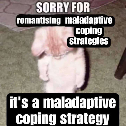 Still image. Fuzzy blown-out photo of a little kitty that looks like it's standing up, its teeny face and eyes downcast. 
Text reads:
SORRY FOR
romantising maladaptive
coping
strategies
it's a maladaptive 
coping strategy 