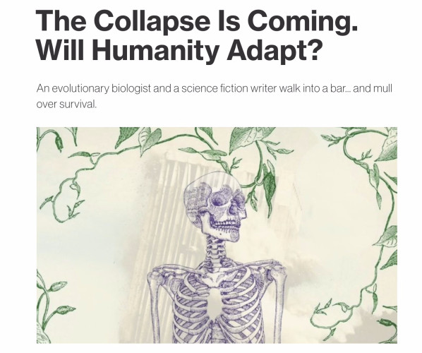 Screenshot from top of linked article. Headline says: "The collapse is coming. Will humanity adapt?" Below that is a graphic image of a human skeleton in front of a collapsing building and surrounded by vines.