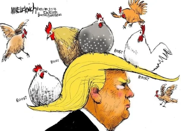 Image of chickens roosting in Donald Trump hair.