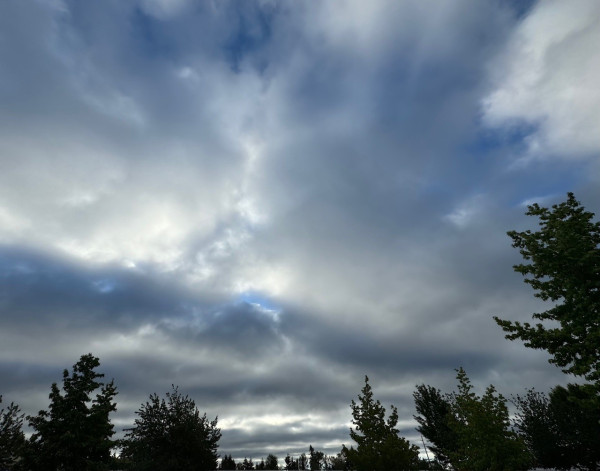 Sky with mostly clouds in various shades of white to grey to bluish grey, with occasional bits of blue sky and bright light trying to break through. Various deciduous and evergreen trees frame from below. 