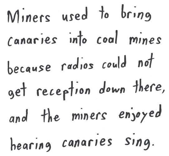 Miners used to bring canaries into coal mines because radios could not get reception down there, and the miners enjoyed hearing canaries sing.