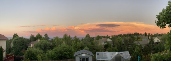 A panorama photo of bright salmon pink clouds over a tree line 