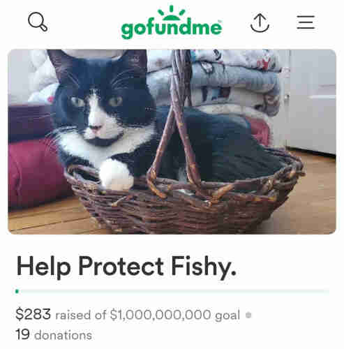 My tuxedo cat happily sitting in a basket.
Help Protect Fishy.
$283 raised of $1,000,000,000 goal
19 donations