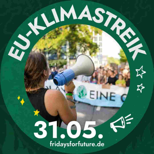 Beispiel Profilbild mit grünem Kreis "EU-Klimastreik 31.05."