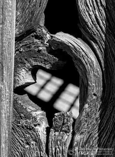 A closeup black and white photo of a knothole in a wall board of an old weathered cabin. The center of the knothole has long sense weathered away leaving a hole through which can be seen the out-of-focus shadow of a two pane window on the cabin's floor.