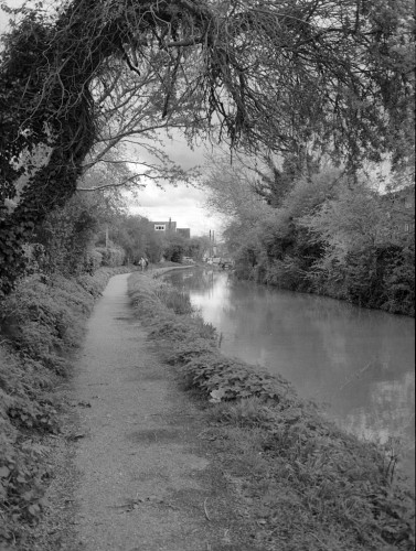 Black and white photo in portrait format, showing a towpath and the canal to the right running from the bottom of the frme to the centre, where they curve away to the right.  Buildings are visible near the curve, and two distant figures are walking on the towpath. A tree overhangs from the left.