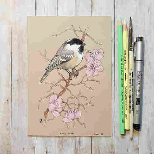 Original drawing - Coal Tit Bird 
A colour drawing of a coal tit bird sitting on a blossoming cherry branch.
Materials: colour pencil, mixed media, acid free beige pastel paper
Width: 5 inches
Height: 7 inches