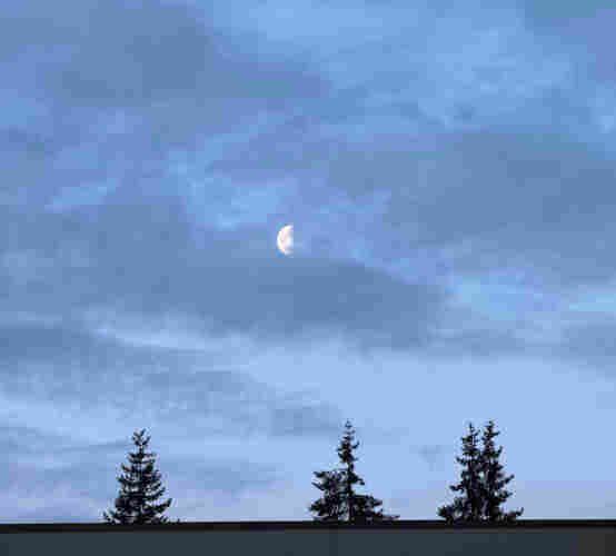 A half moon peeking through thin clouds above the tops of some evergreen trees behind a flat roof 