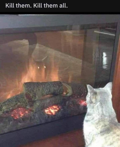 Photo of a cat staring into a fireplace with it's reflection showing with glowing eyes.
