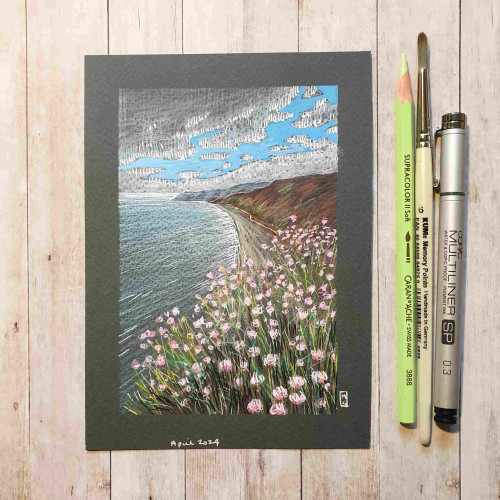 Original drawing - Beach and Sea with Thrift Flowers
A colour landscape drawing of a beach and the sea with pink sea thrift flowers on the foreground.
Materials: colour pencil, mixed media, acid free grey pastel paper
Width: 5 inches
Height: 7 inches