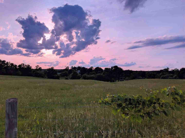 A landscape photo taken near sunset. Green grass and dark trees below a pink and purple sky with a few dark clouds hiding the sun.