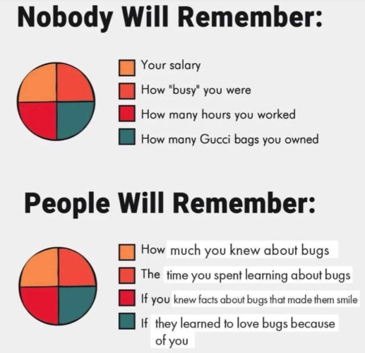 [Image description: Two pie charts divided into equal quarters. It's a "motivational" poster but it's been clearly edited. All of the things in the second chart have been typed over in a slightly different font to be about bugs. 

"Nobody Will Remember"
orange - Your Salary
darker orange - How "busy" you were
red - How many hours you worked
Green - How many Gucci bags you owned

"People Will Remember"
orange - How much you knew about bugs
darker orange - The time you spent learning about bugs
red - If you knew facts about bugs that made them smile
Green - If they learned to love bugs because of you ]