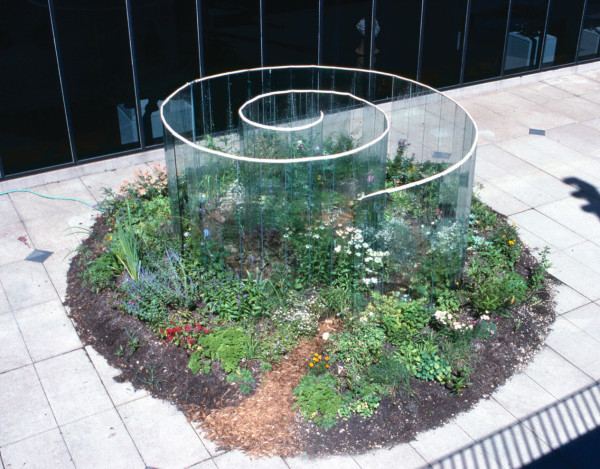 Spiral glass wall installed in a courtyard, filled with plants and flowers in a large dirt circle around the central spiral