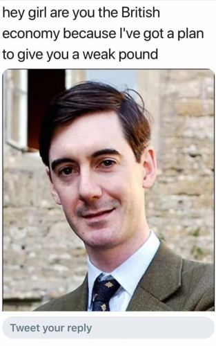 Jacob Rees-Mogg and the caption says “hey girl are you the British economy because l've got a plan to give you a weak pound”