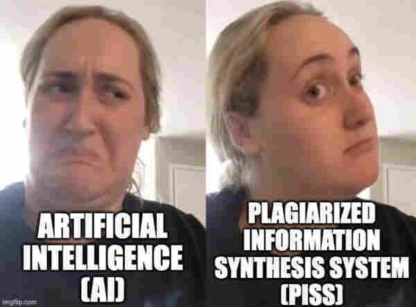 Meme, two photos. 

Woman frowns and looks disgusted: "Artificial intelligence (AI). 

Woman looks relieved, like she approves: "Plagiarized Information Synthesis System (PISS)" 