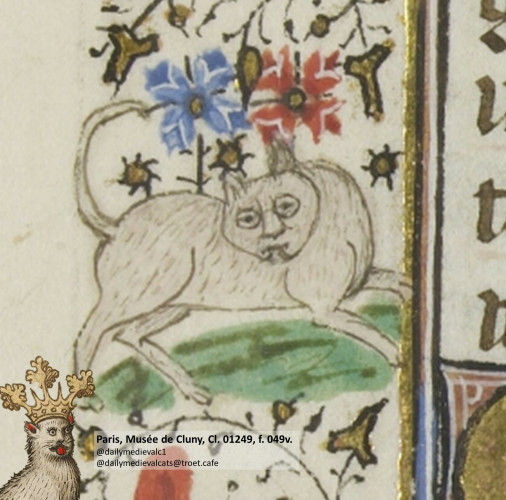 Picture from a medieval manuscript: A white cat gawking