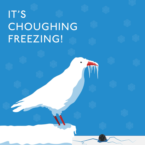 Illustration of a chough covered in snow against a blue background with seal”s head poking out of the frozen sea. Text says: ‘It’s choughing freezing’