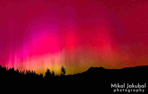 Night sky with aurora borealis against a silhouette of a skyline with trees and a small mountain. The sky is mostly reds and magentas, with yellowish green areas near the horizon. The colors aren't uniform, but form vertical "streaks" or columns of lights going into the sky. White pinprick stars are visible through the colors.