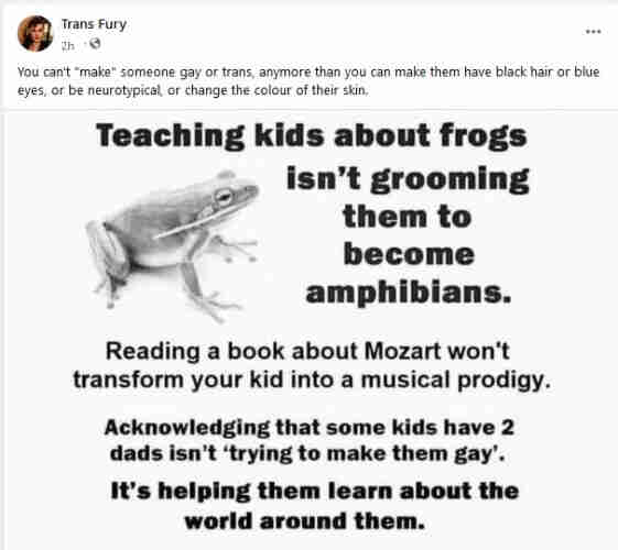 Frog with the caption: Teaching kids about frogs isn't grooming them to become amphibians. Reading a book about Mozart won't transform your kid into a musical prodigy. Acknowledging that some kids have 2 dads isn't "trying to make them gay." It's helping them learn about the world around them.