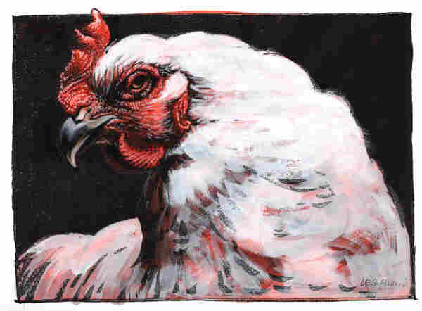 an image of the head and upper body of a white chicken with a red crest and brown beak, framed by a black background. The inky black drawn lines and background are photocopied, but the white, red and brown parts are painted in gouache. The brushwork ranges from broad and rough on the feathers to rather delicate and detailed in the face.