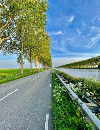 Photography. A color photo of a country road with an avenue of trees, blue sky and a river. The special thing about this photo is its composition. At first glance, it looks like a composite image, as the trees stand out strongly against the blue sky. The gray road is also strongly delineated by a green stripe with a road boundary.
This creates the impression of two images. The canal river with the blue sky on the right and the street with the avenue of trees on the left.
Info: According to the photographer, this is a real photo that has only been moderately post-processed.