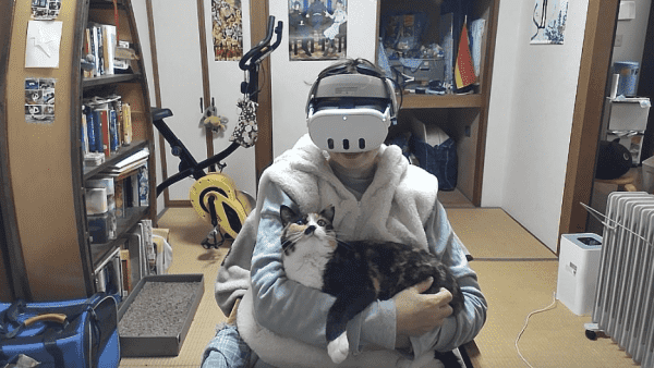 Screenshot from my computer, showing that I'm wearing a VR headset and now also cuddling a cat for some serious multi-tasking action.