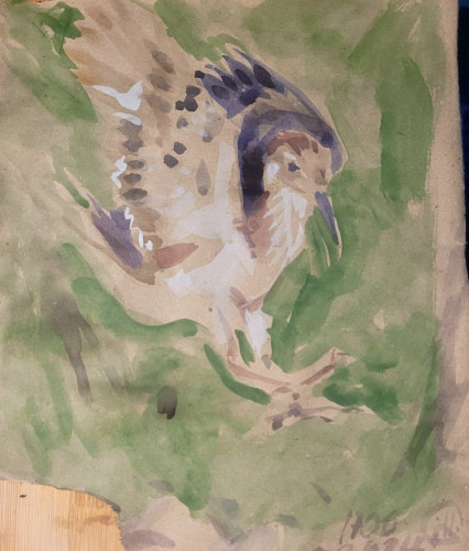 Wasserfarbe auf einem unregelmäßig abgerissenen Stück grauen Packpapiers: ein kleiner Watvogel landet mit hoch erhobenen Flügeln und vorgestreckten Beinen, der Hintergrund ist fleckig grün