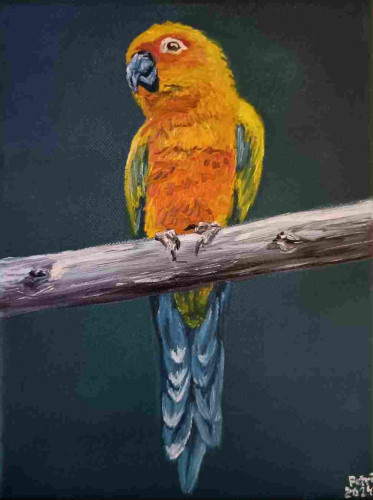 An oil painting of a parrot. Yellow, orange and red feathers. Dark bluish green tail feathers. Sotting on a branch. Dark green background.