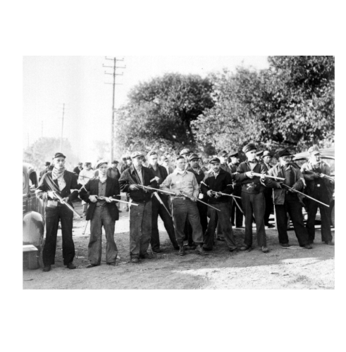 Newton vigilantes, with rifles, standing in a line, with guns raised.