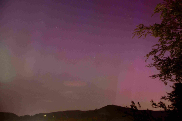 Aurora borealis, beams of pink, purple and blue rising over a panoramic view of hillside silhouetted along bottom. Tree to right. The constellation Cassiopeia in centre of field