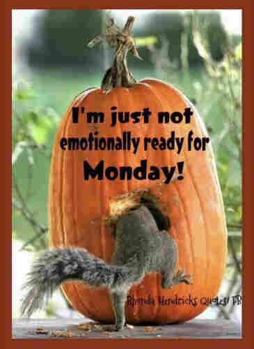 Picture a grey squirrel with its head buried in a hole in a pumpkin. The caption reads : “I’m just not emotionally ready for Monday!”